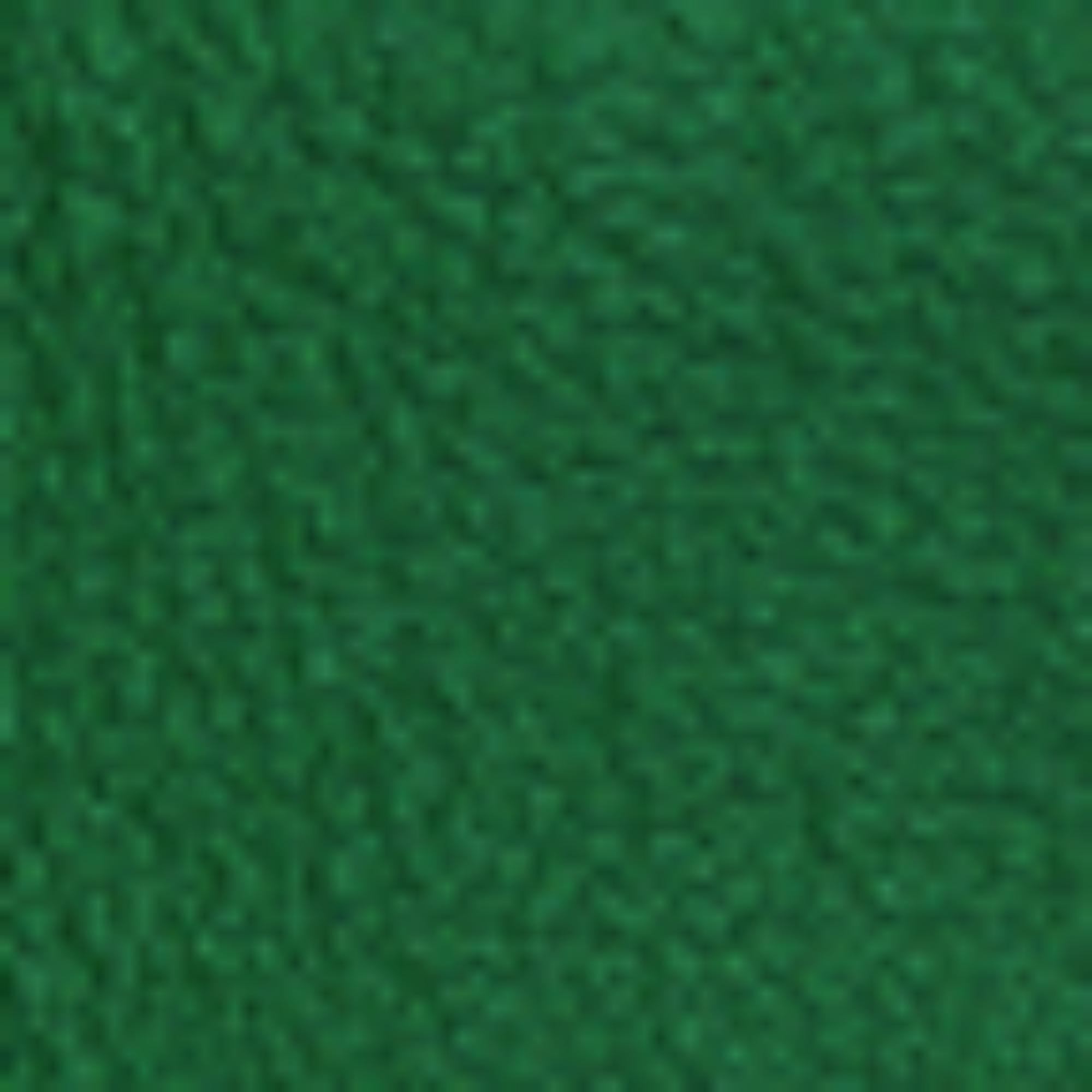 Reversible and Adjustable Gancini Belt - Scrubs Green/Black