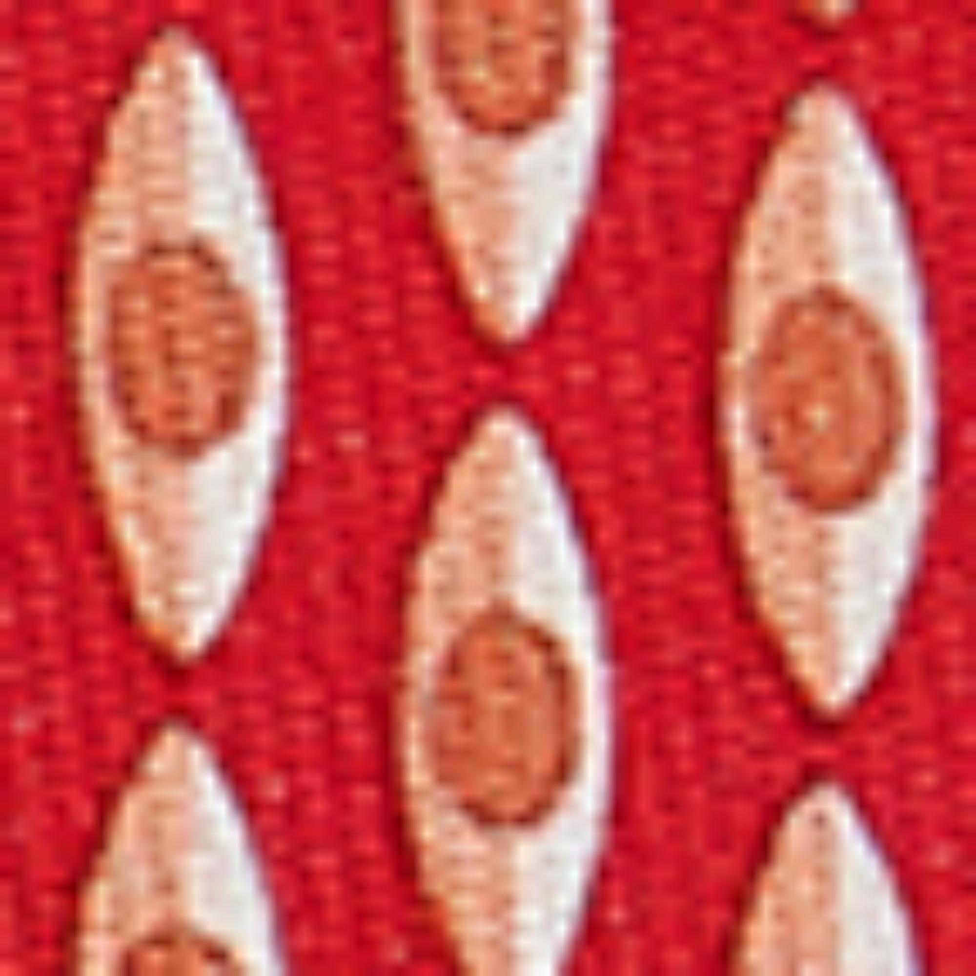 Canoe Print Silk Tie - Red